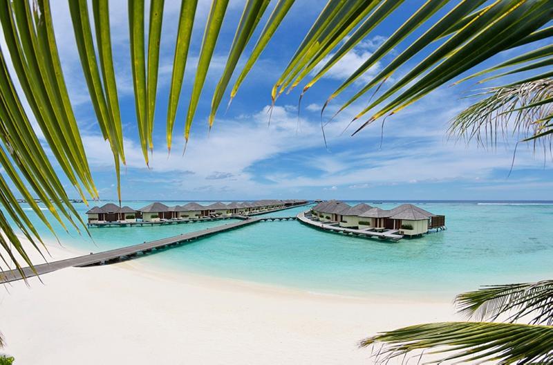 Paradise Island Resort