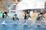Marineland & koupání na Azurovém pobřeží