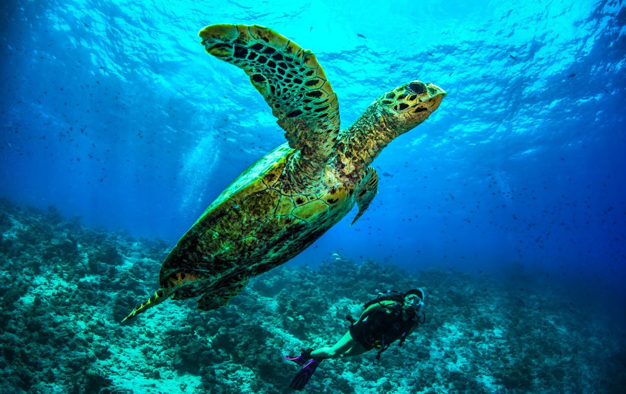 Dusit Thani Maldives