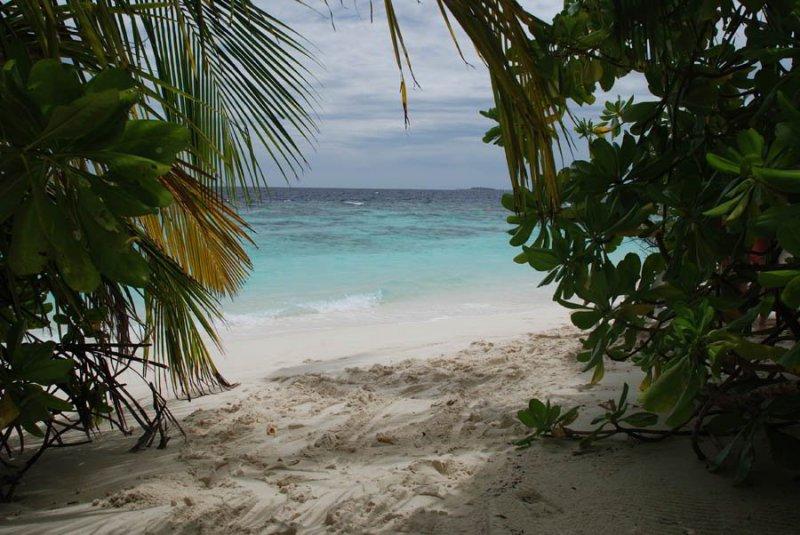 Bandos Island Resort & Spa