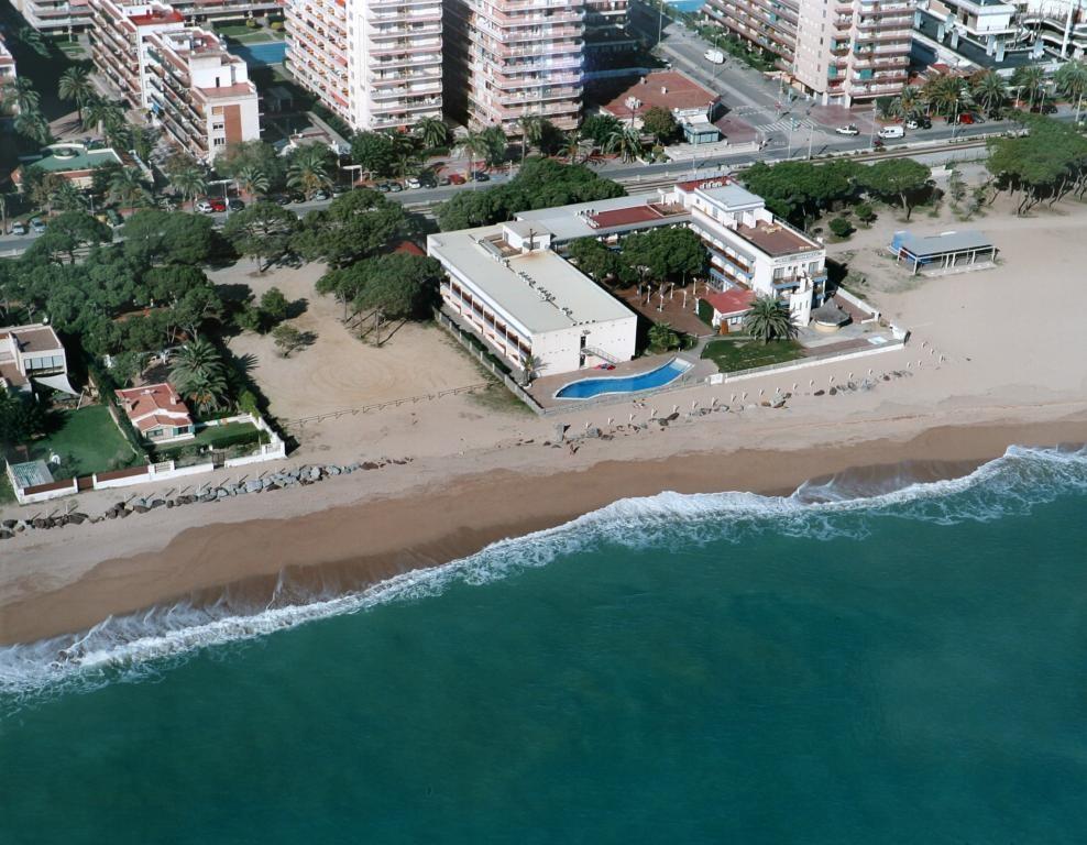 Amaraigua