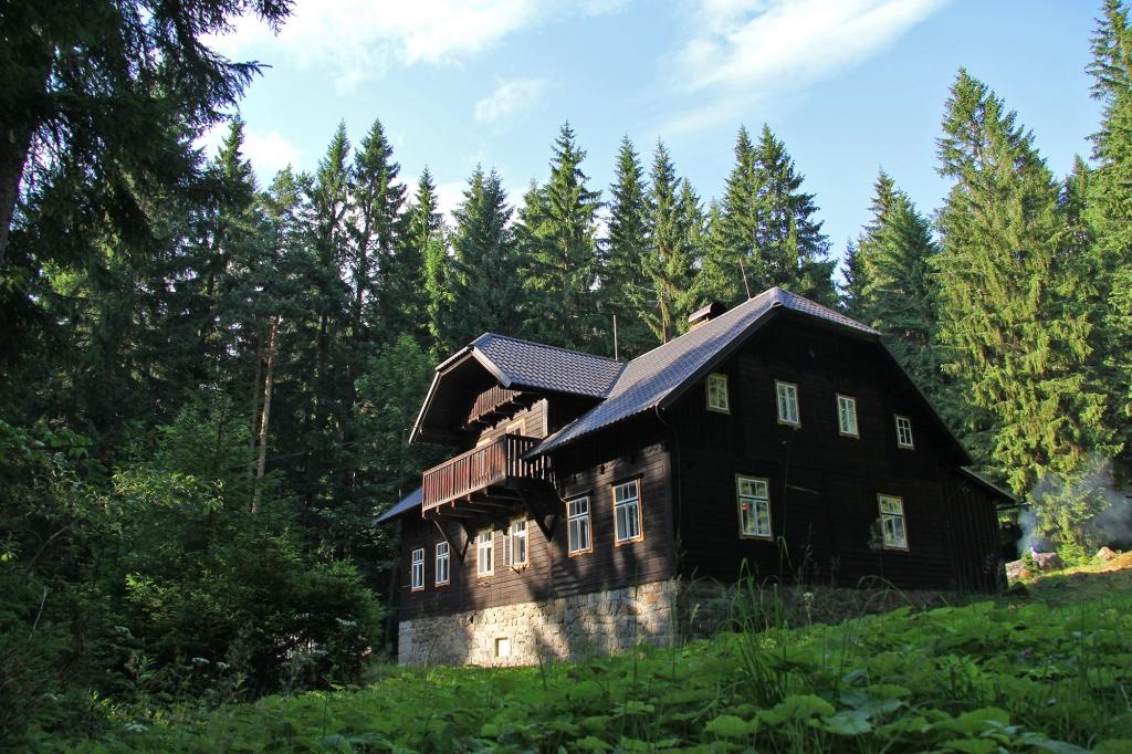 Srní