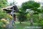 Habitation Grande Anse