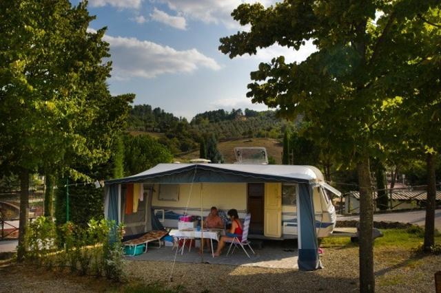 Norcenni Girasole Club