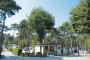 Villaggio Mare Pineta