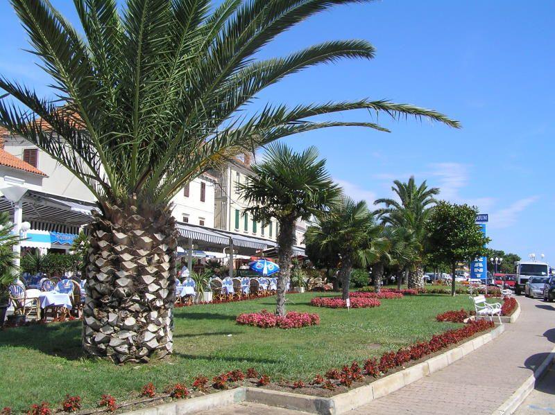 Kemp Park Soline