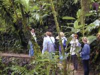 Trekking na Kostarice