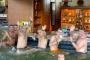 TK_Gyor_popup_vizi_bar