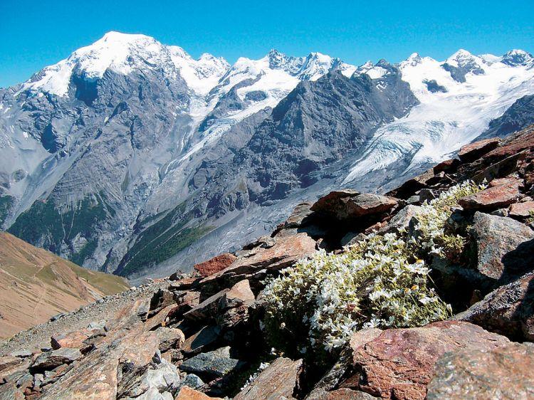 Dolomity se slevovou kartou - Adamello, Brenta, Presanella