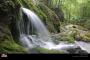Sureanu_Paring_02