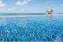 TAJ Coral Reef