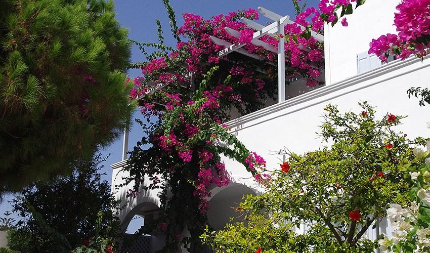 Santorini Houses