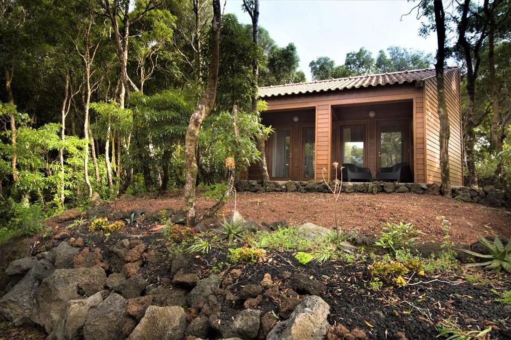 Alma do Pico