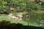 BLAU NATURA PARK ECO RESORT & SPA