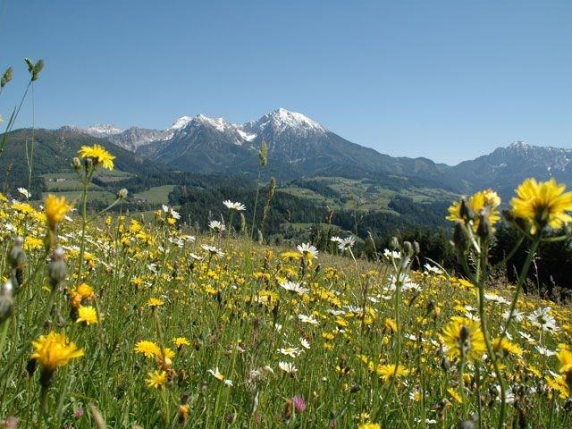 Huttersberg