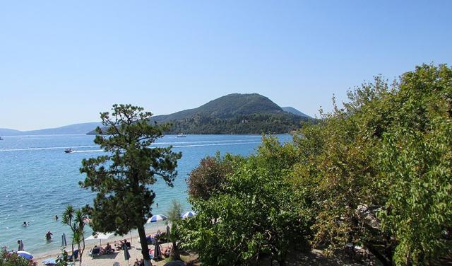 IMG_3528.jpg