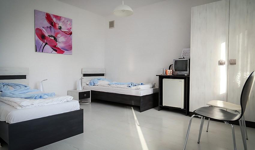2 reni (4).jpg