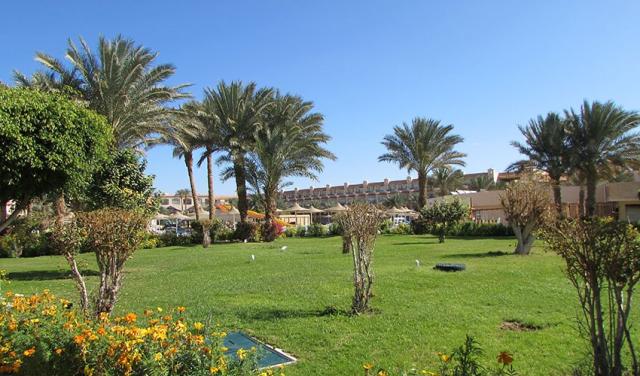 pyramisa-111.jpg