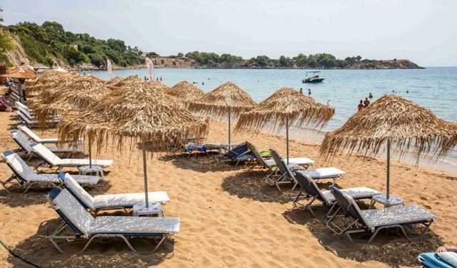 White-Olive-Hotel-10.jpg