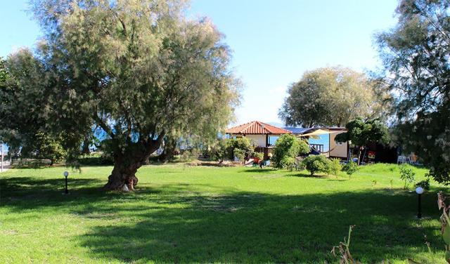Aparthotel Thodorou (16).jpg