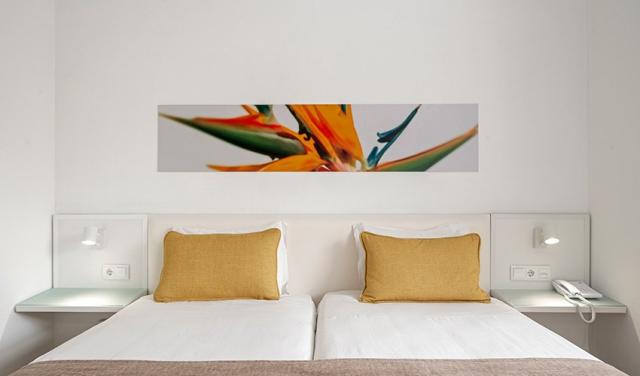 Estrelicia-Hotel-33.jpg