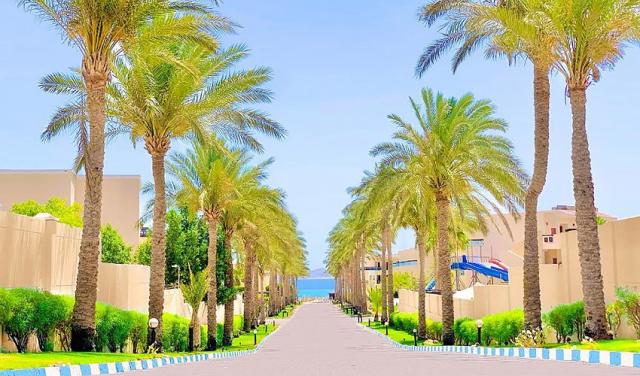 Ivy-Cyrene-Island-Resort-Hotel-5.jpg