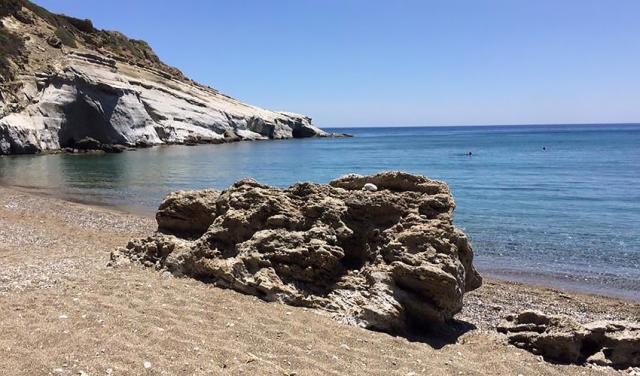 Elenas-Beach-Garden-7.jpg
