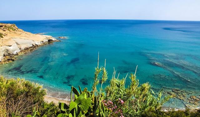 Elenas-Beach-Garden-3.jpg
