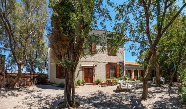Lela-Kaptani-Olive-Grove-1.jpg