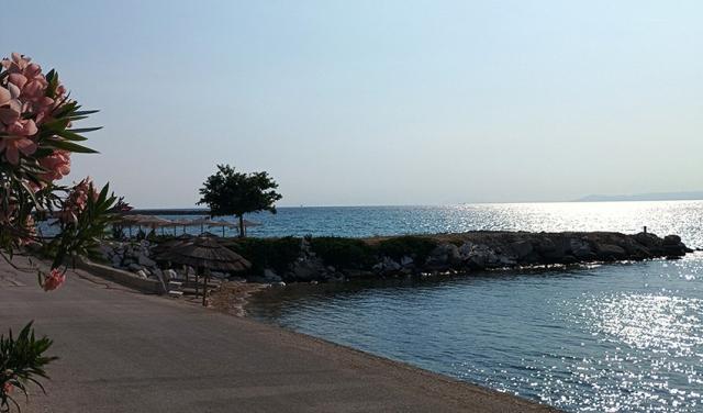 IMG_20250615_174251.jpg