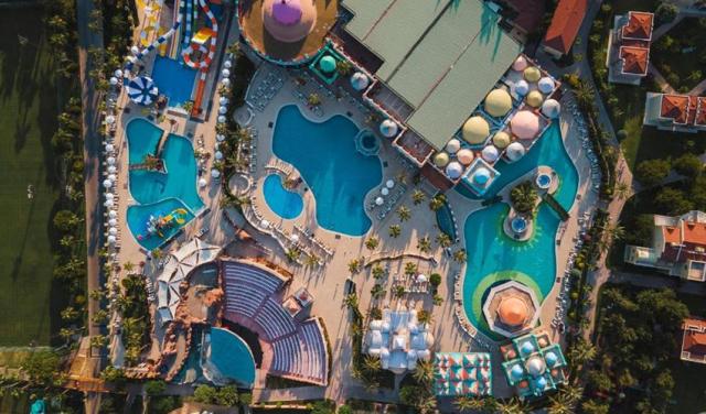Sentido-Kamelya-Selin-2025-13.jpg