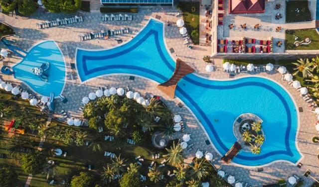 Sentido-Kamelya-Selin-2025-14.jpg