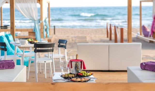 Sentido-Kamelya-Selin-2025-24.jpg