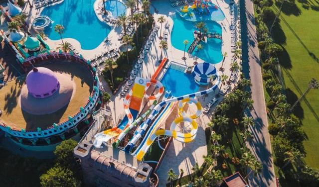 Sentido-Kamelya-Selin-2025-9.jpg
