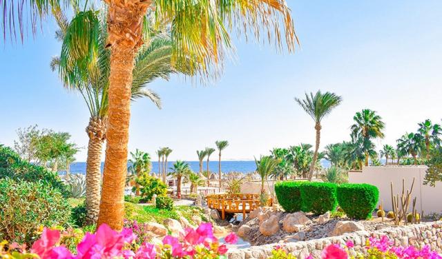 Parrotel-Beach-Resort-17.jpg