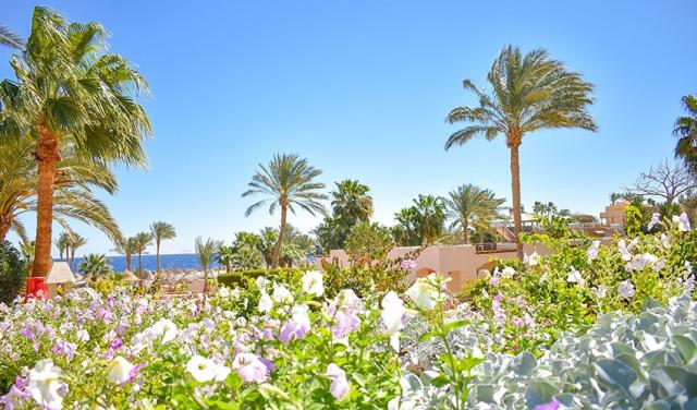 Parrotel-Beach-Resort-37.jpg