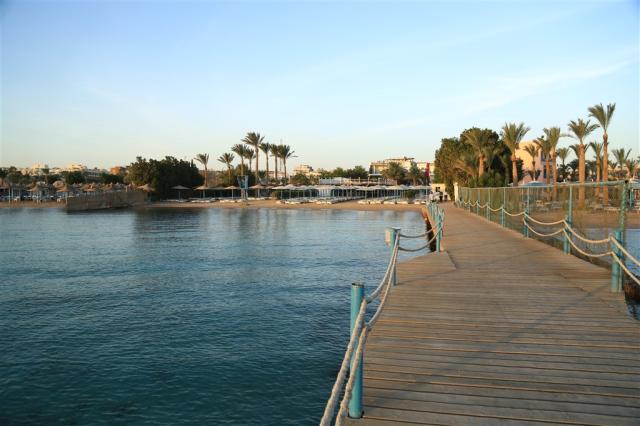 WK0A7481.JPG