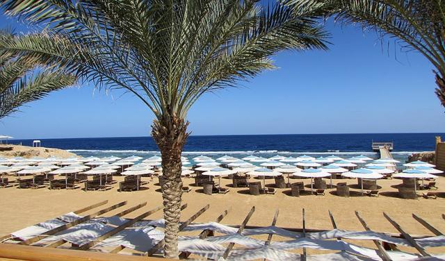Hotel-Solymar-Reef-2.jpg