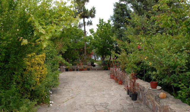 Antigoni-Hotel-9.jpg