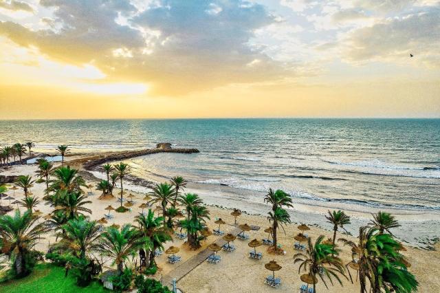 Palm Azur