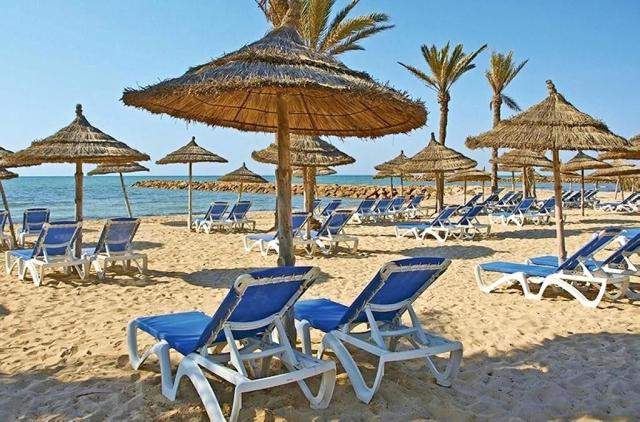 Palm Azur