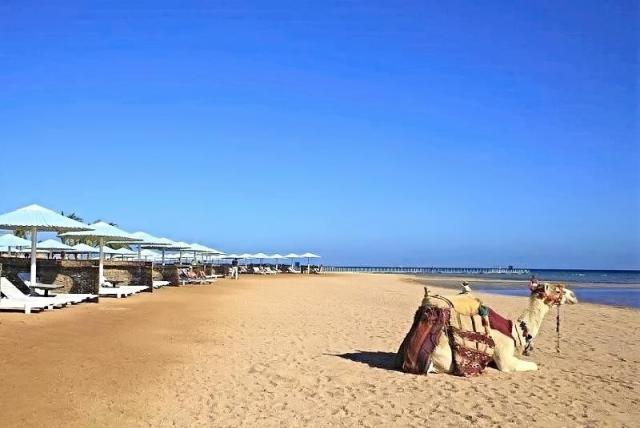 Pharaoh Azur Resort