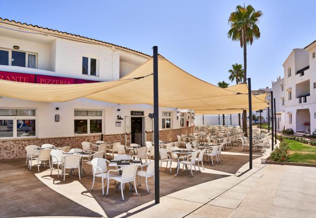 Globales Bouganvilla