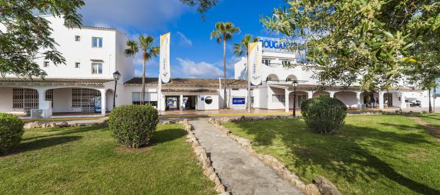 Globales Bouganvilla