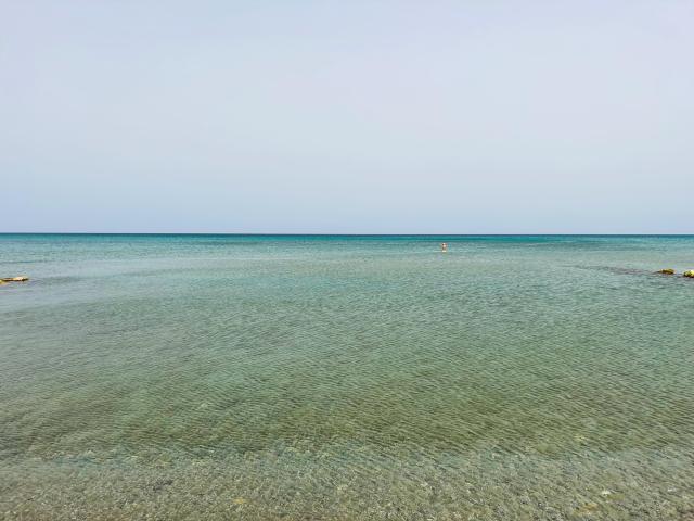 Angela Beach Family Deluxe