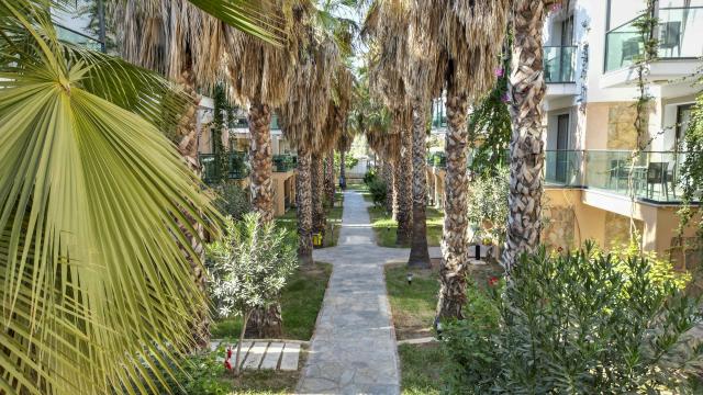 Jasmin Beach