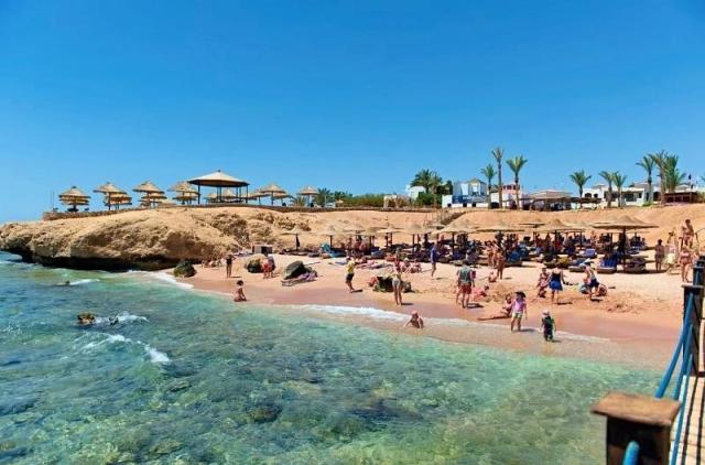 Shores Amphoras