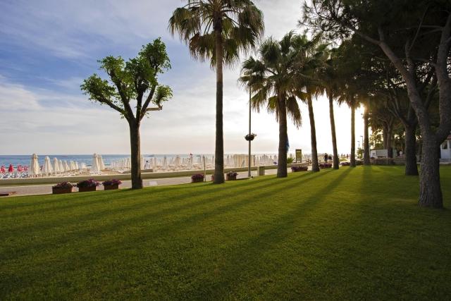 Barut Hemera