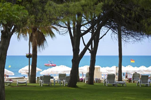 Barut Hemera