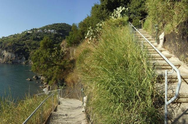 Giardino delle Ninfe e la Fenice